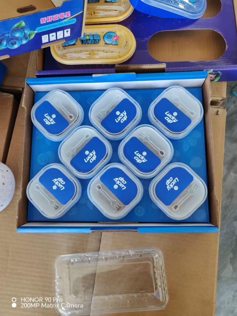 L25山东蓝莓产地大量上市，市场收货，品种齐全