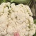 128天，第一批六十亩花菜，开始市