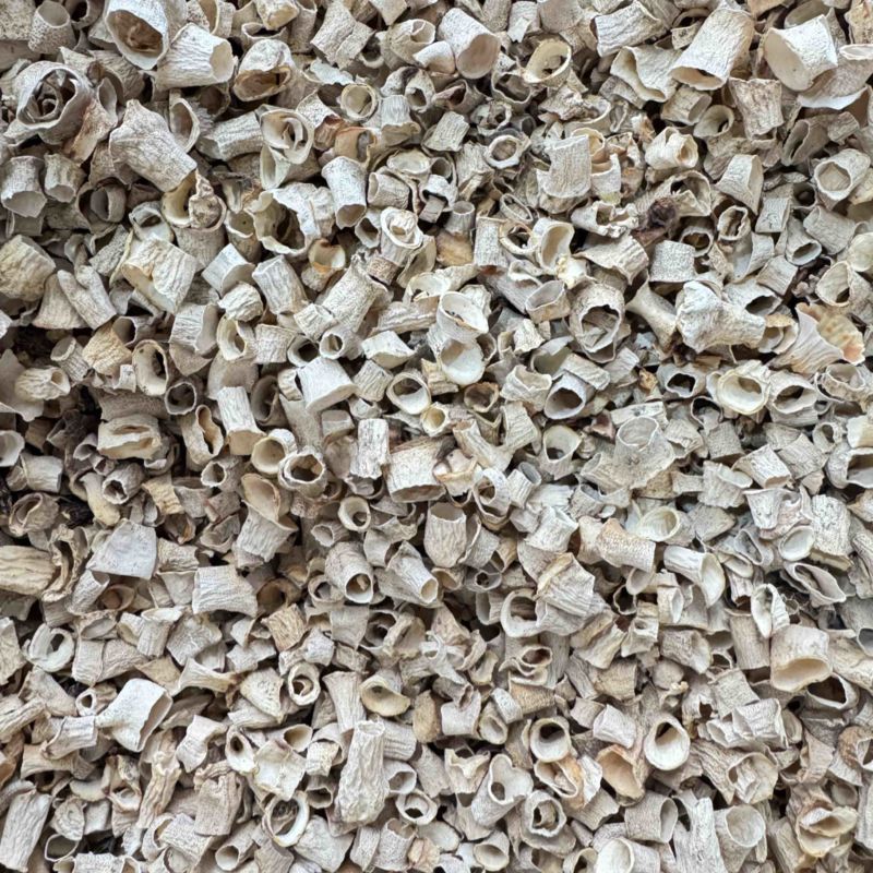 羊肚菌菇脚2026干货经济实惠筛选