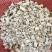 羊肚菌菇脚2026干货经济实惠筛选