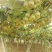 腾退土地，10年苍溪红心猕猴桃大树，每年挂果稳定