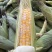 水果玉米，甜玉米🌽