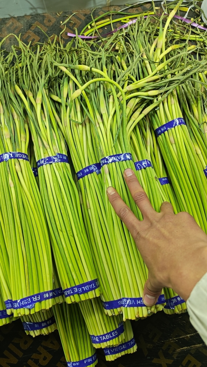 电商货