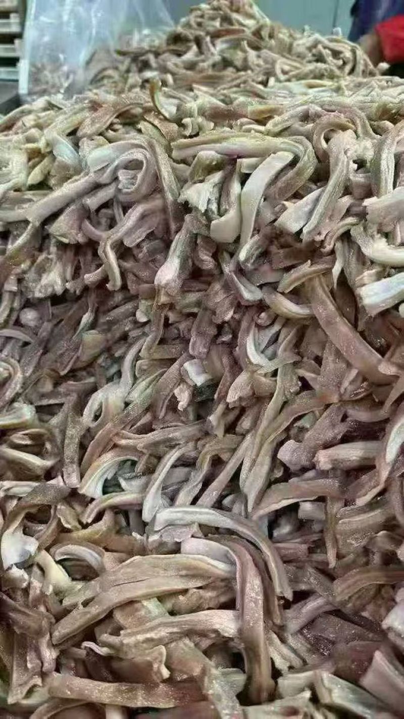 白水猪肚条干净适合所有人群食用常年批发1件起批