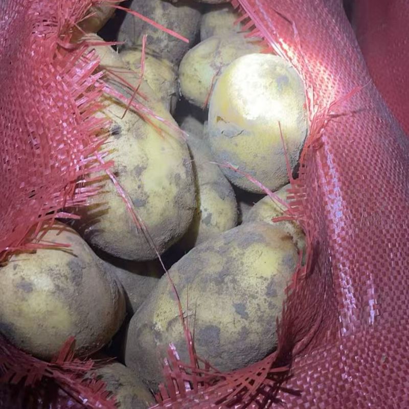 原包食堂货微7