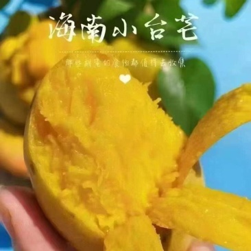 台芒