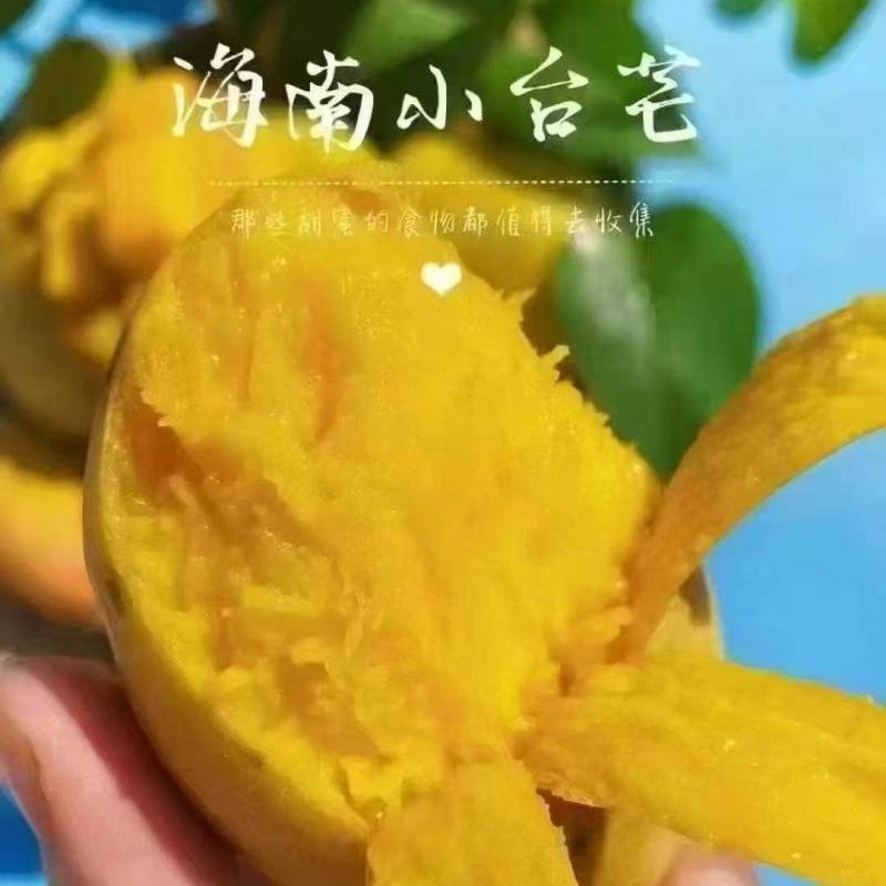 台芒