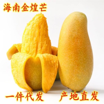 供应链一件代发海南金煌芒果对接电商各大平台抖音直播淘宝