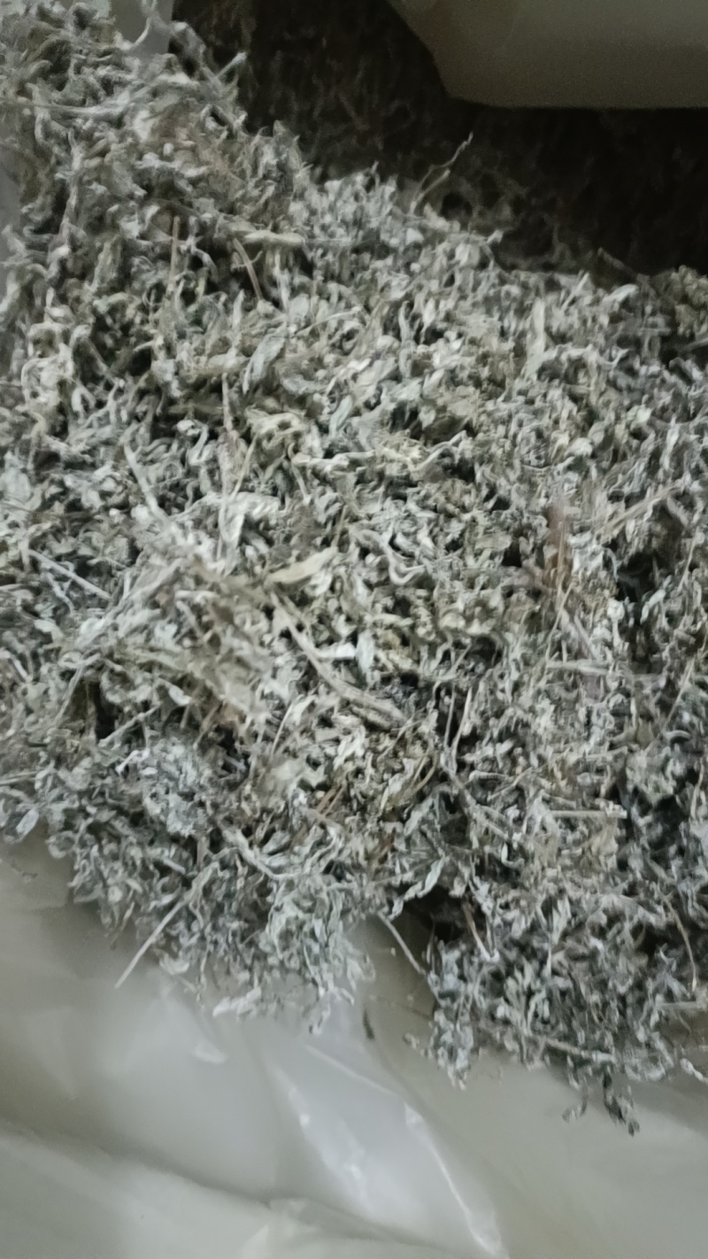 26年过筛选精品细叶藤茶无梗无沫无杂质，可视频看货