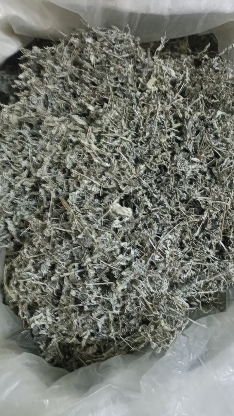 26年过筛选精品细叶藤茶无梗无沫无杂质，可视频看货