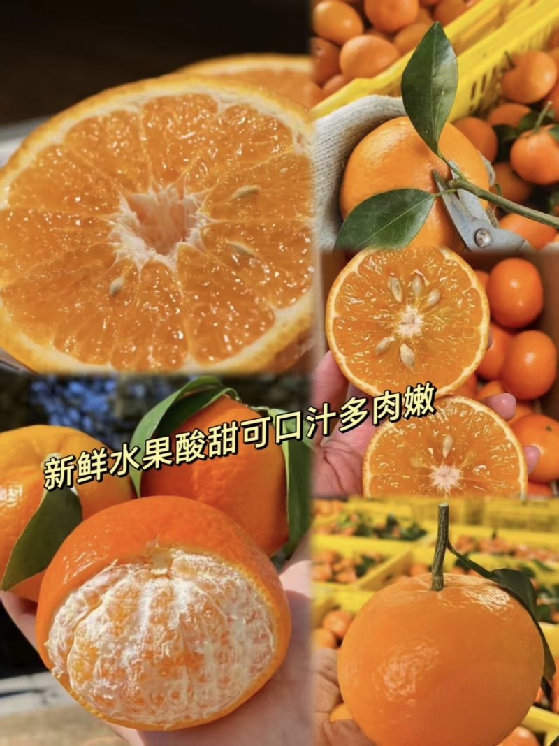 广西武鸣沃柑1/5/10斤纯甜新鲜水果现发价格便宜