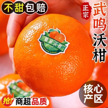 广西武鸣沃柑1/5/10斤纯甜新鲜水果现发价格便宜