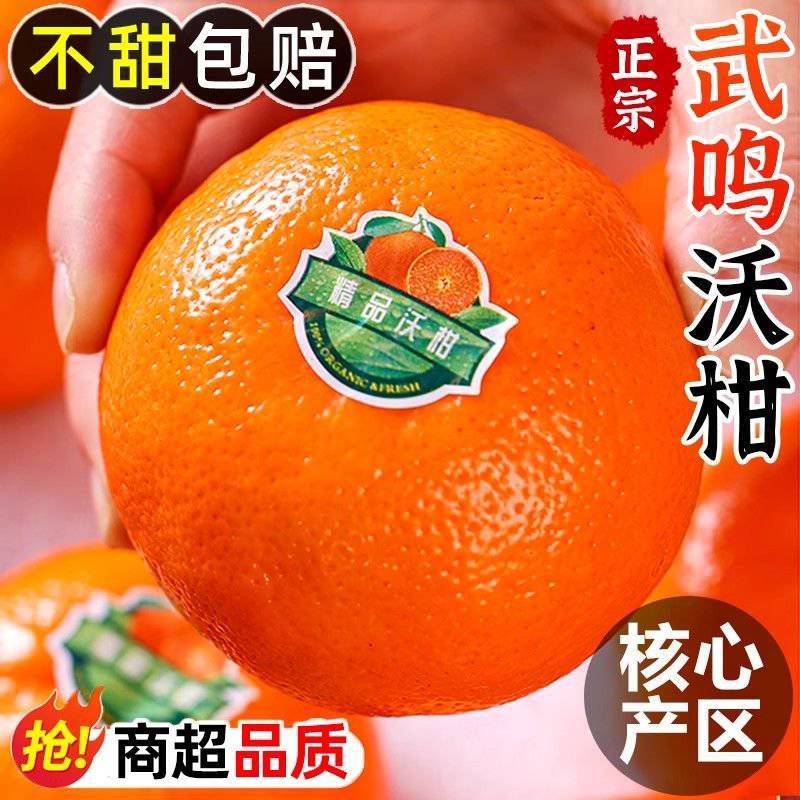 广西武鸣沃柑1/5/10斤纯甜新鲜水果现发价格便宜