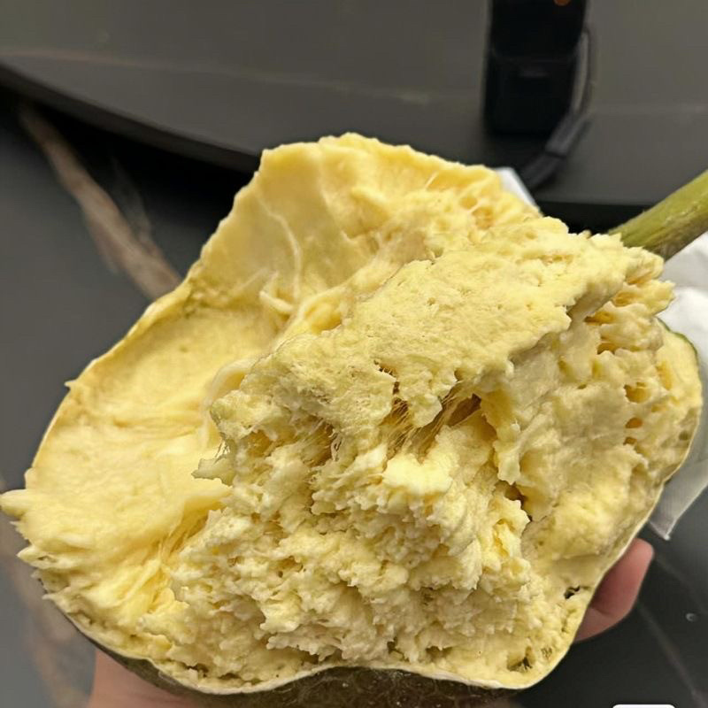 网红面包果现货秒