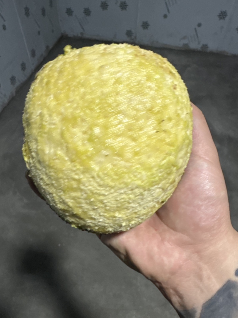 网红面包果现货秒
