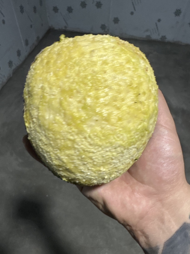 网红面包果现货秒