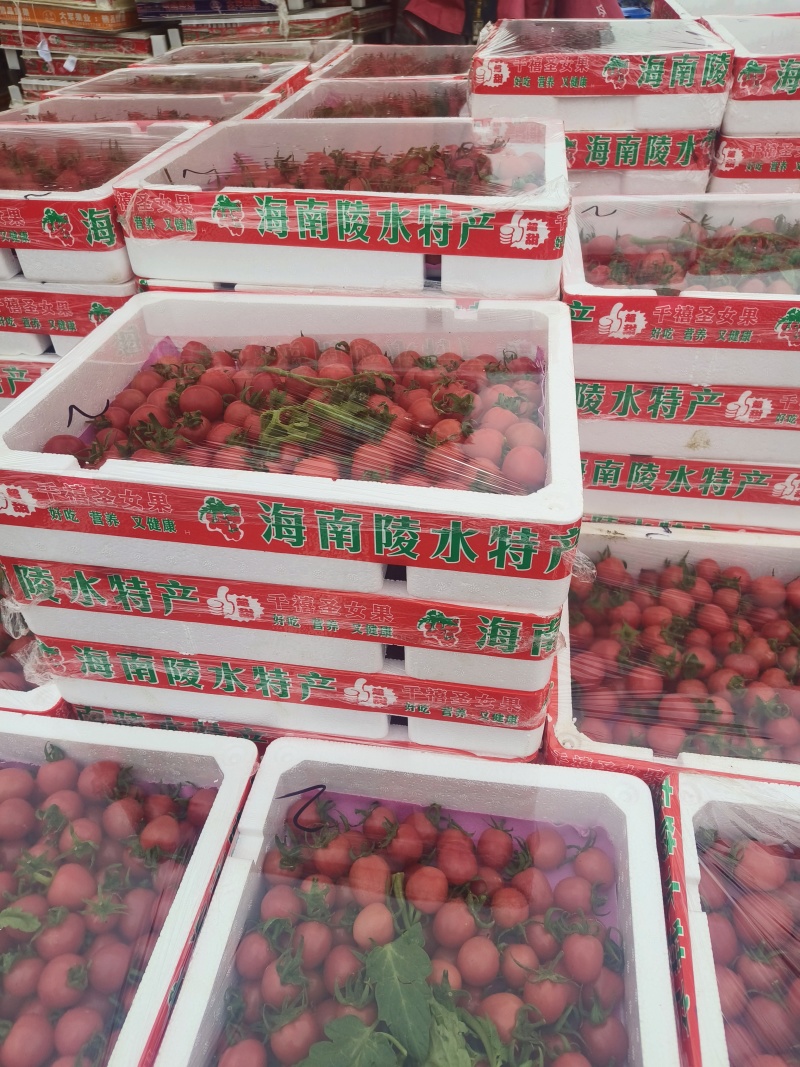 贝贝