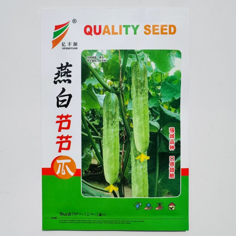 强雌品种燕白节节瓜种子南方早熟燕白黄瓜种子节节有瓜无苦味