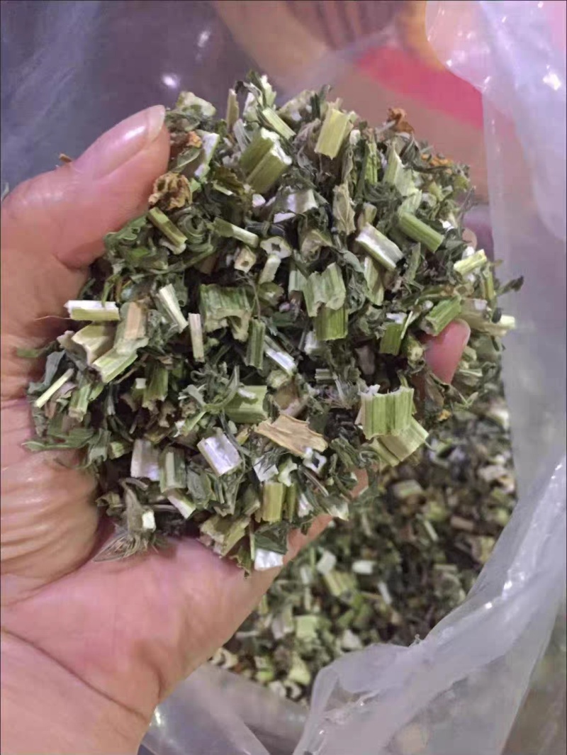 精选益母草中药材500g新货益母草茶泡水喝新鲜白花益母草