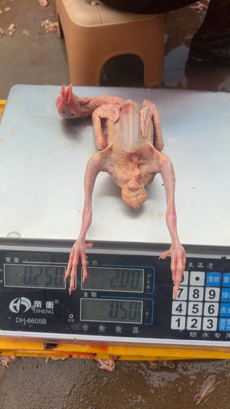 基地直供。电商直播平台**。单只包装。性价比超高！