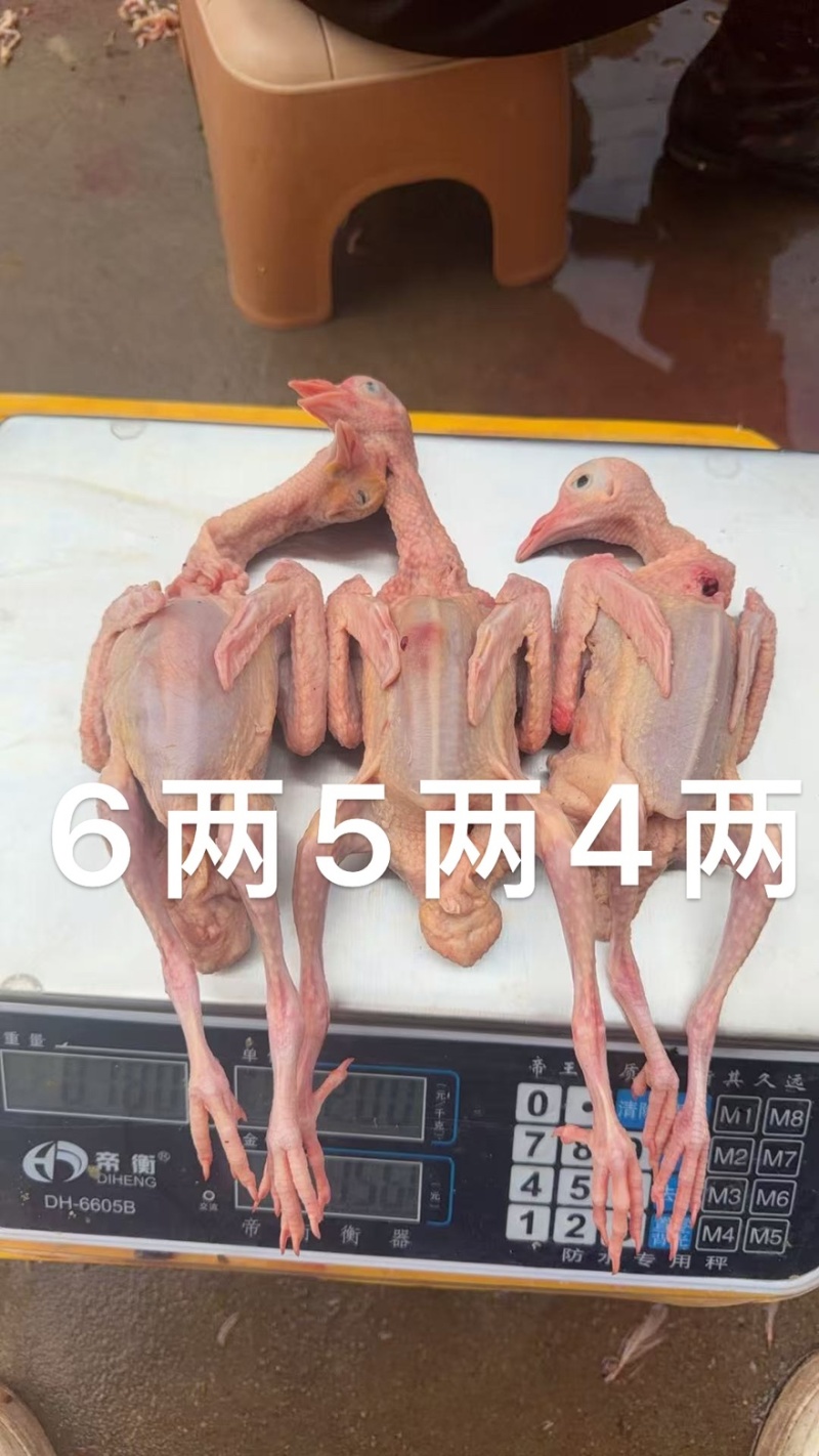 基地直供。电商直播平台**。单只包装。性价比超高！