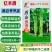 强雌品种燕白节节瓜种子南方早熟燕白黄瓜种子节节有瓜无苦味