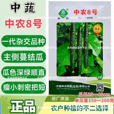 精选中农8号黄瓜种子春露地青瓜种子抗霜霉白粉枯萎病农科