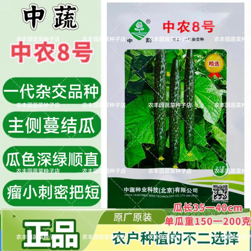 精选中农8号黄瓜种子春露地青瓜种子抗霜霉白粉枯萎病农科