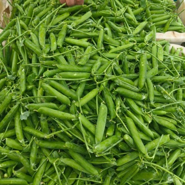 豌豆，豆米，