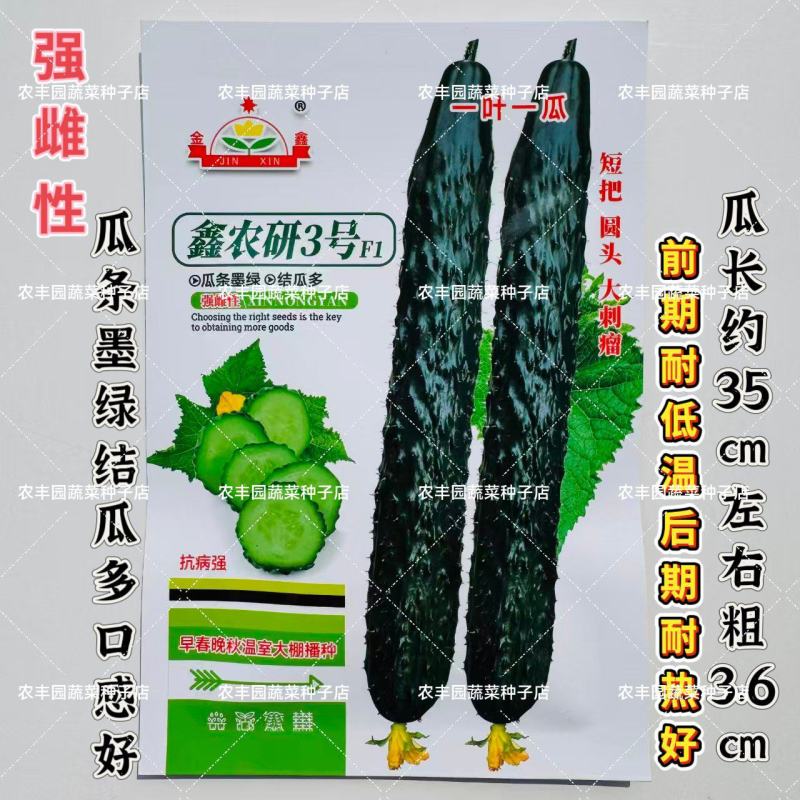 鑫农研3号黄瓜种子夏播高产刺黄瓜籽口感好耐热农家四季蔬菜