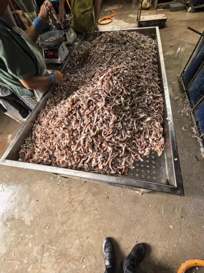 电商代发，猪肚头丝1斤装纯干，厂家直销持续生产中