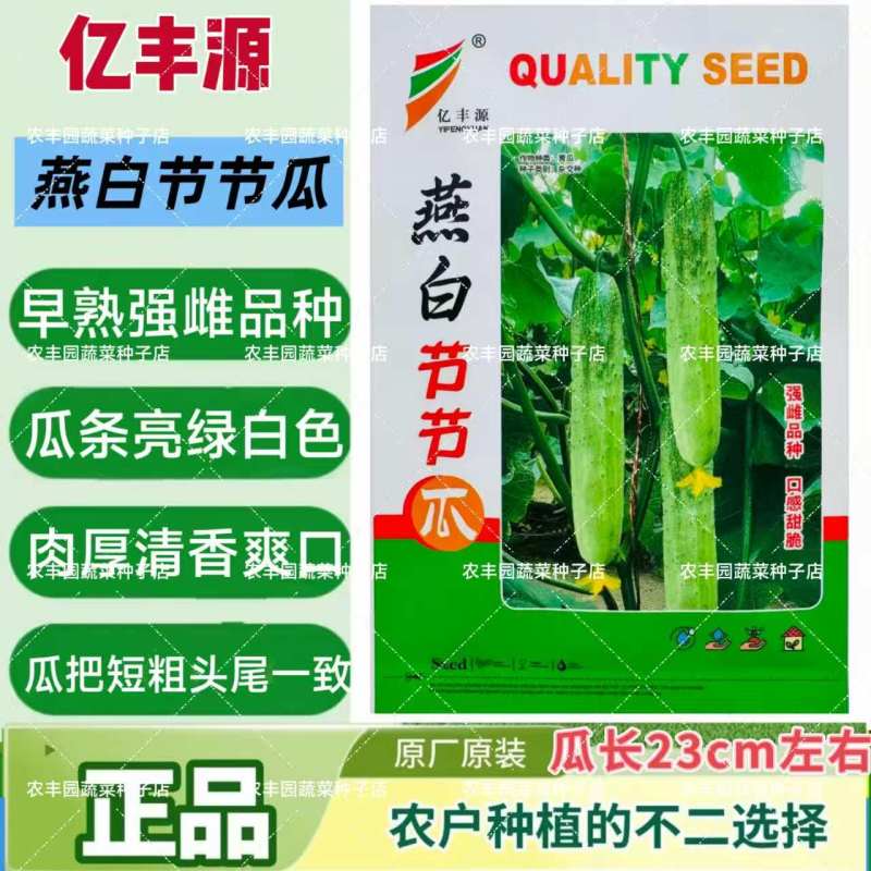 燕白节节瓜种子强雌性黄瓜种子肉厚清香黄瓜种子节节有瓜亮绿