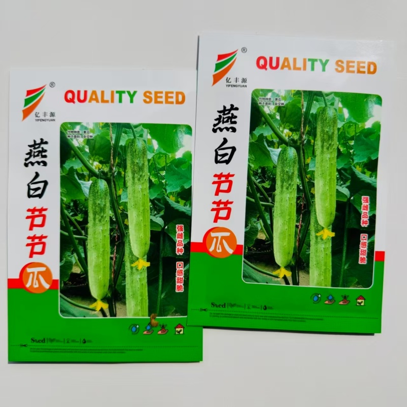 燕白节节瓜种子强雌性黄瓜种子肉厚清香黄瓜种子节节有瓜亮绿