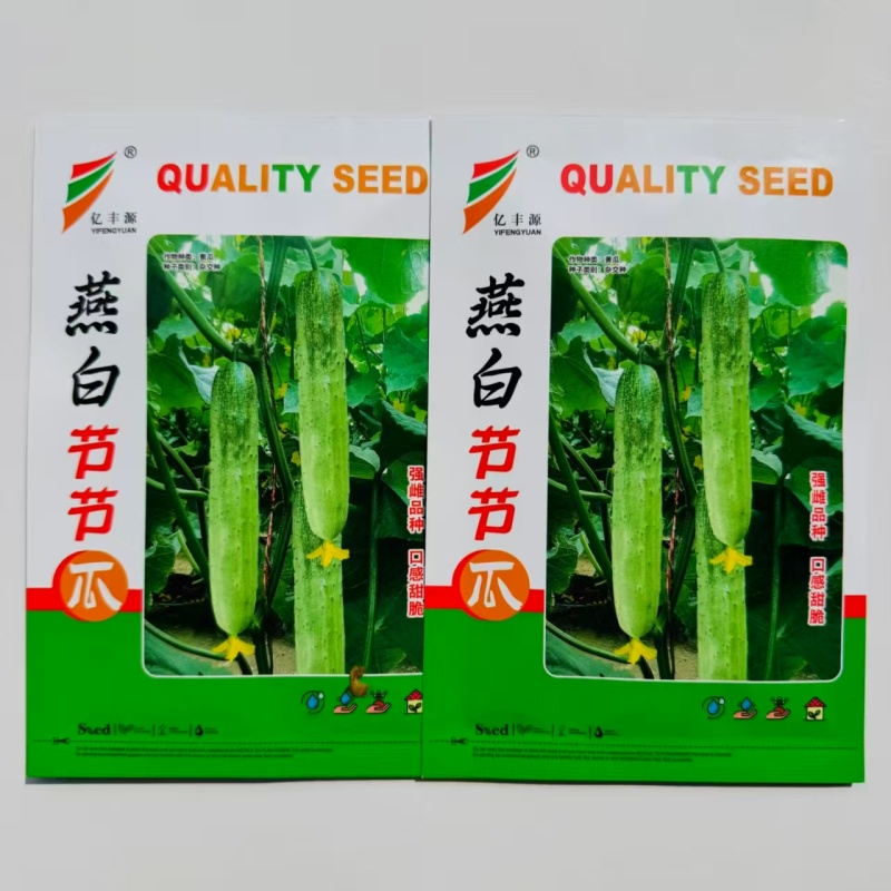 燕白节节瓜种子强雌性黄瓜种子肉厚清香黄瓜种子节节有瓜亮绿