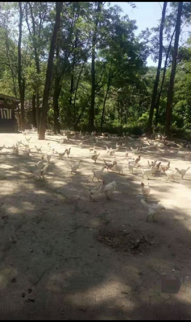 土地出租