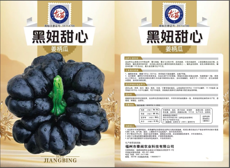 云南姜炳瓜种子中早熟品种瓜形扁圆老瓜香而甜味