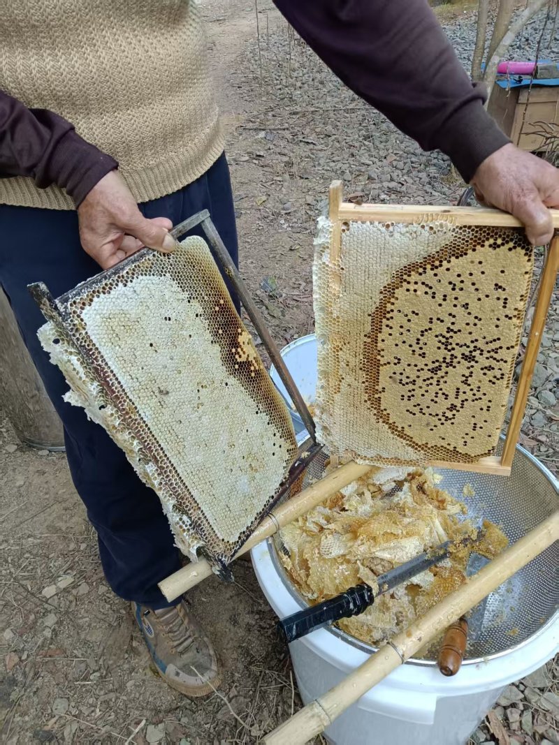 广西深山土蜂蜜（冬蜜）