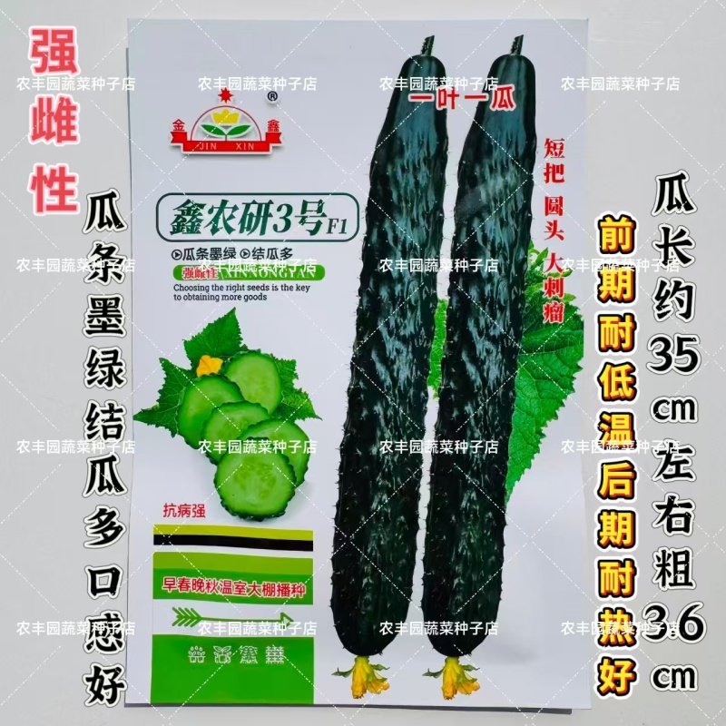 鑫农研3号F1强雌型黄瓜种子早熟短把密刺墨绿泽亮青瓜种籽