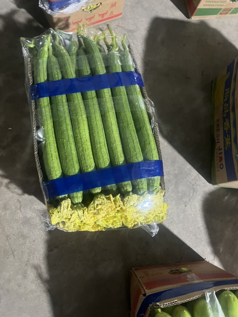 精品鲜花丝瓜大量供应电商、超市、批发市场