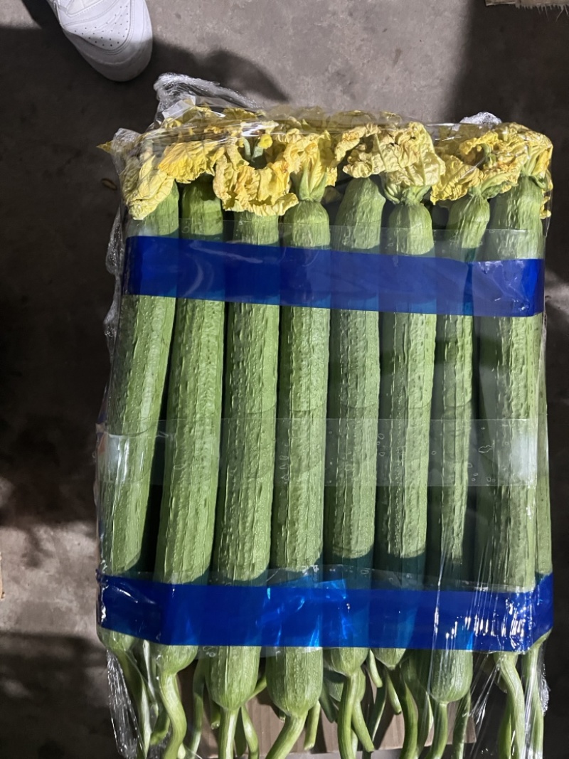 精品鲜花丝瓜大量供应电商、超市、批发市场