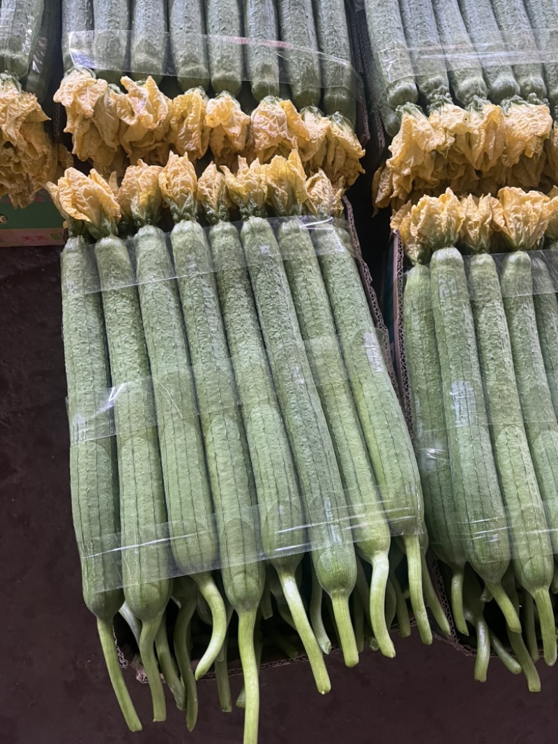 精品鲜花丝瓜大量供应电商、超市、批发市场