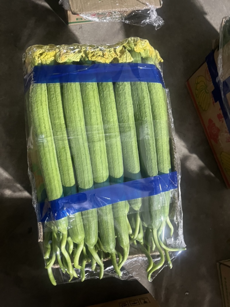 精品鲜花丝瓜大量供应电商、超市、批发市场