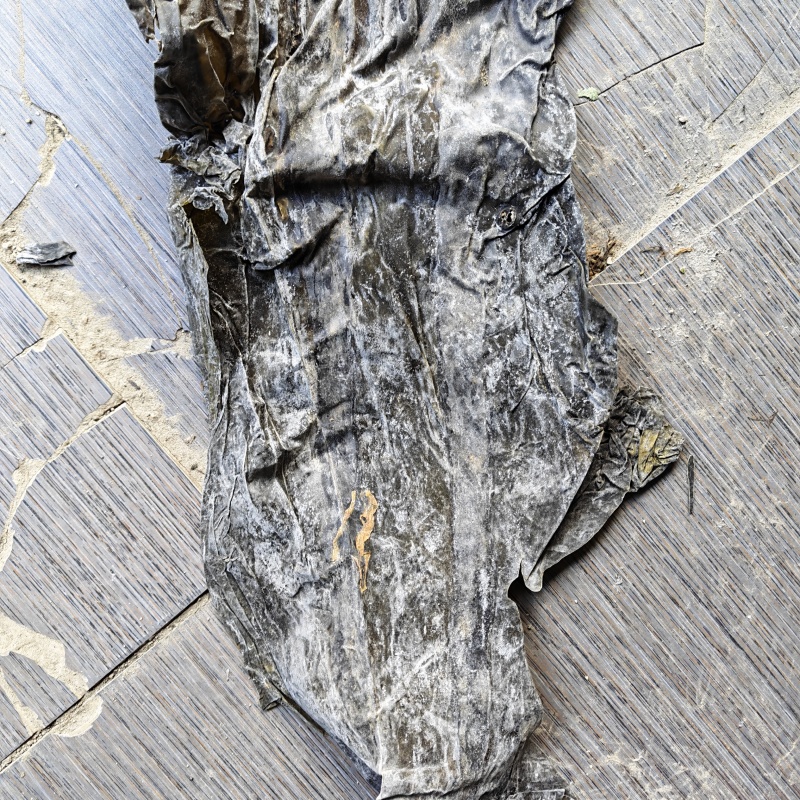 霞浦干海带干货跑江湖地摊干净无沙商用批发