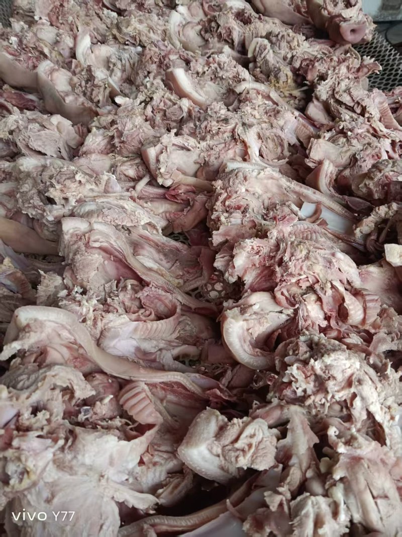 半成品猪头肉