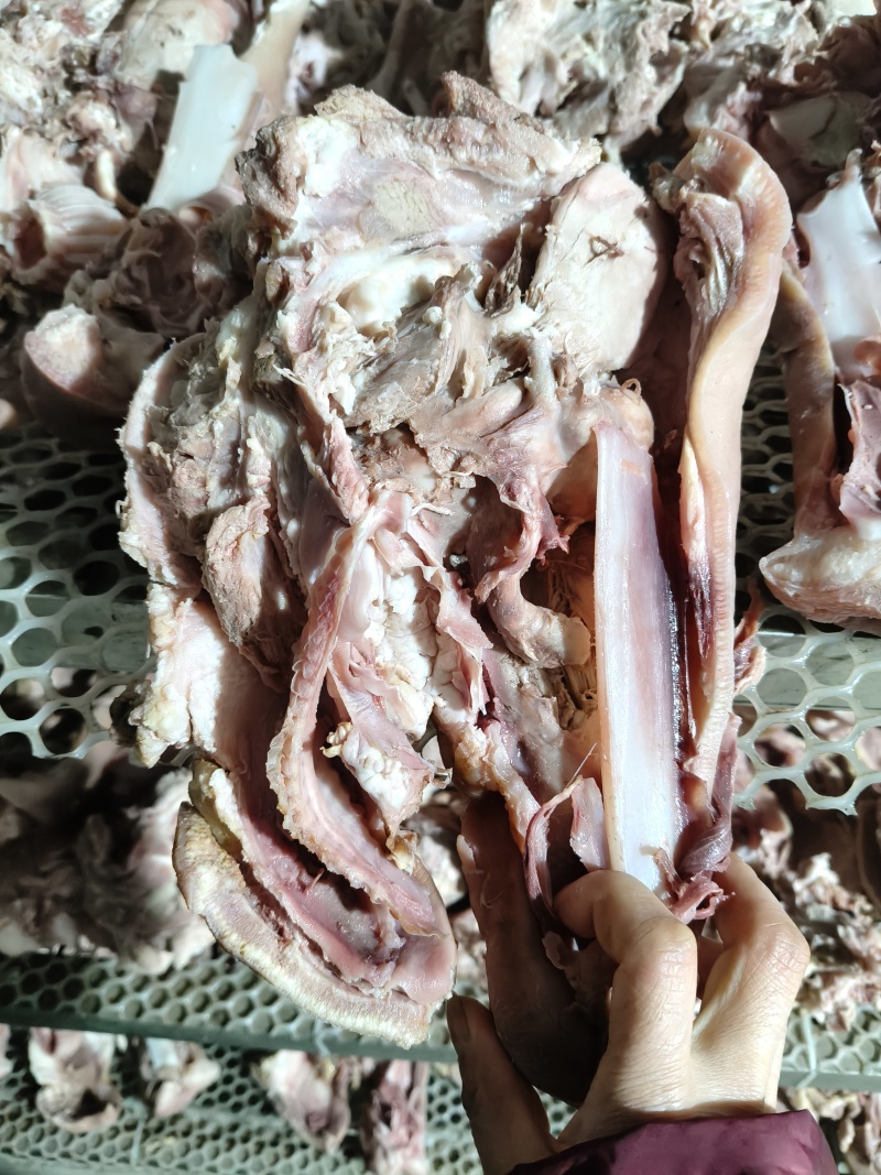 半成品猪头肉