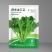 四季香芥菜种子饺子菜脆嫩清香阳台庭院盆栽蔬菜种子