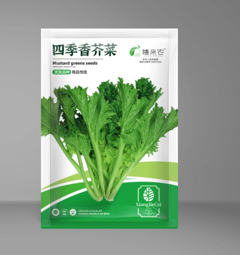 四季香芥菜种子饺子菜脆嫩清香阳台庭院盆栽蔬菜种子