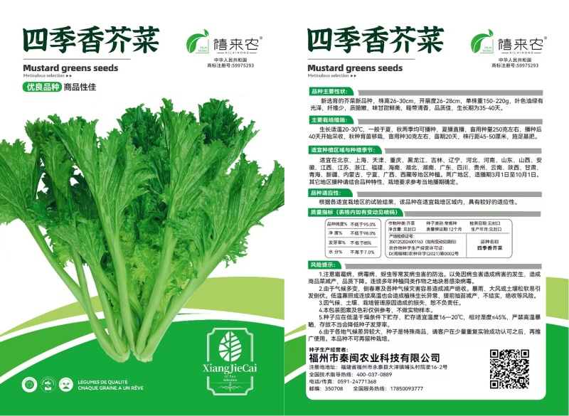 四季香芥菜种子饺子菜脆嫩清香阳台庭院盆栽蔬菜种子