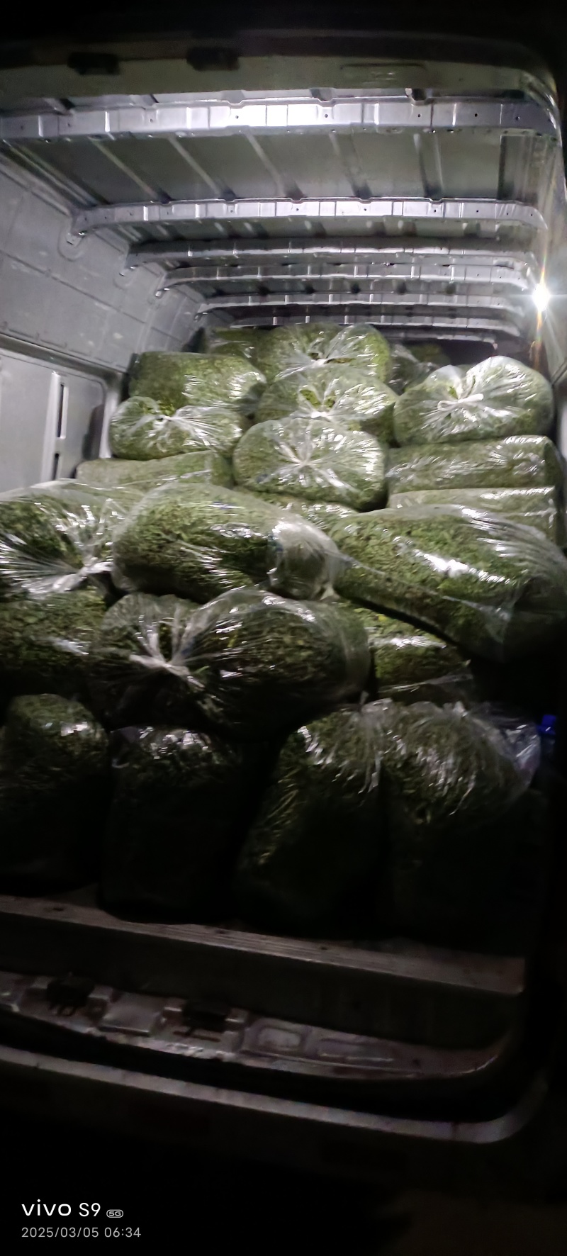 春天带给黄土高坡的美味，野生的荠菜西安咸阳全城配送