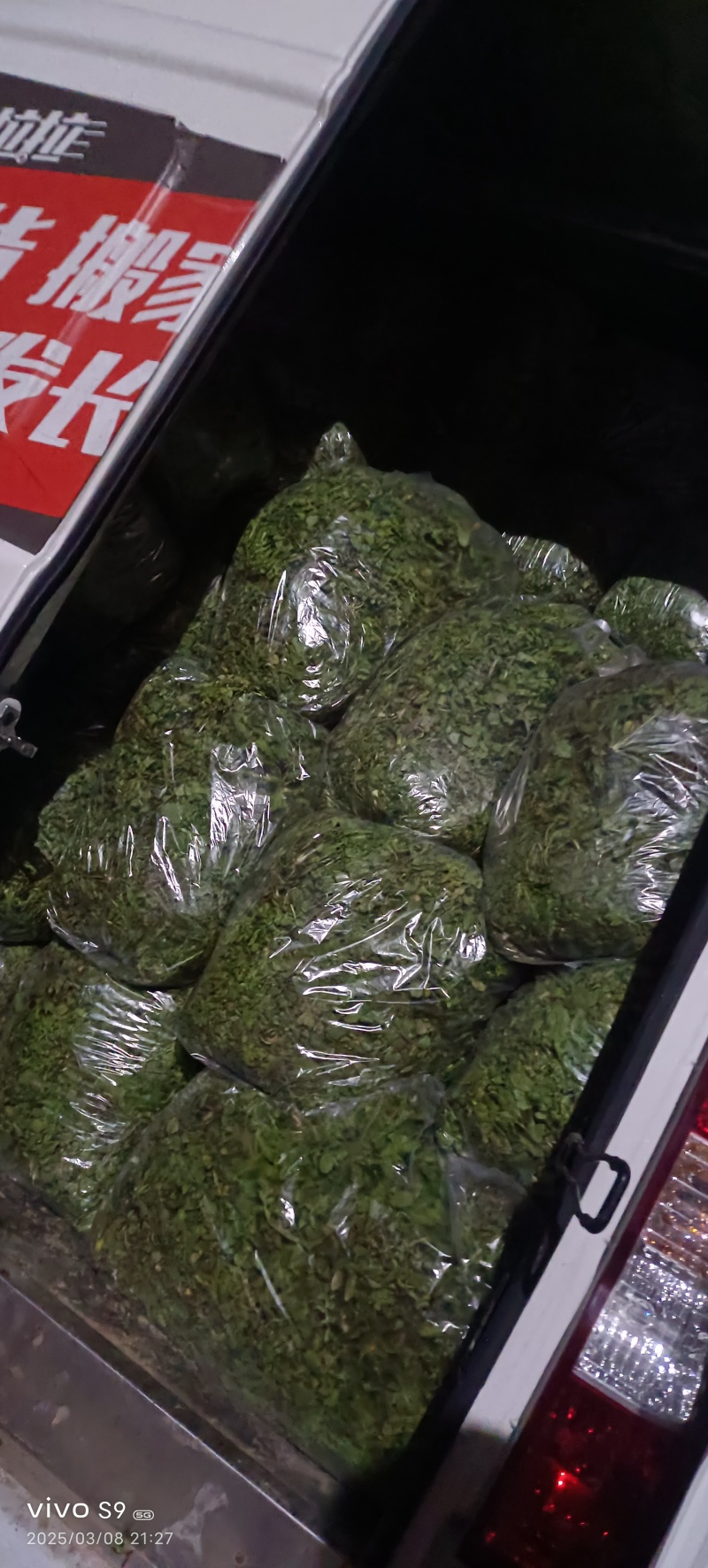 春天带给黄土高坡的美味，野生的荠菜西安咸阳全城配送